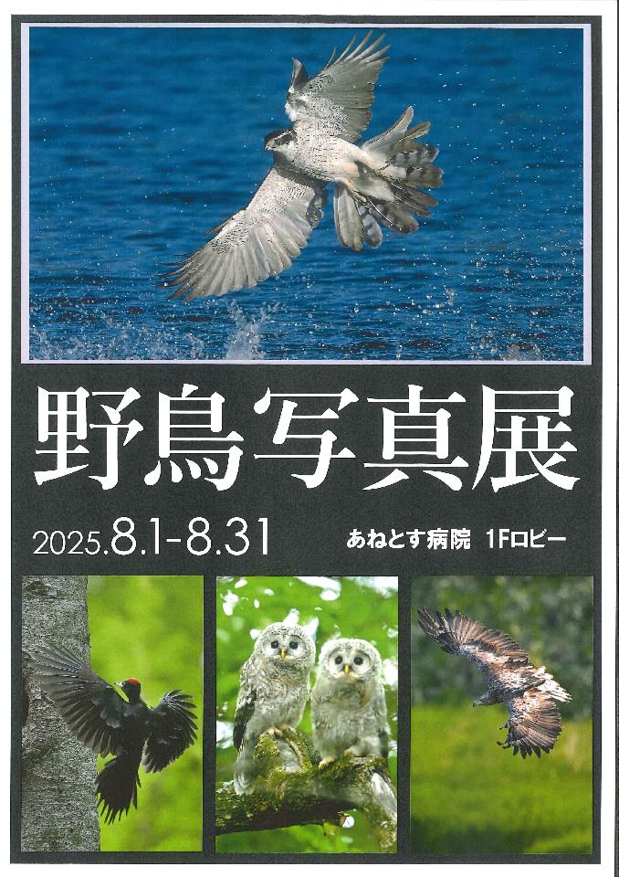 病院ロビーの壁面ギャラリー展示が新しくなりました。の画像